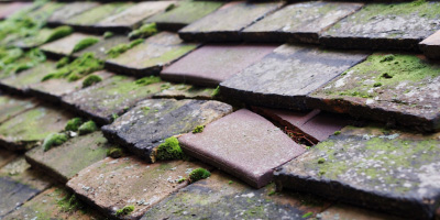 Woofferton roof repair costs